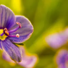 no description
https://www.flickr.com/photos/ztec/8434317324/
Albums: Nature