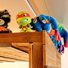 no description
https://www.flickr.com/photos/ztec/26956743679/