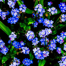 no description
https://www.flickr.com/photos/ztec/13958366311/