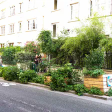 no description
https://www.flickr.com/photos/ztec/52144818984/
Albums: Paris