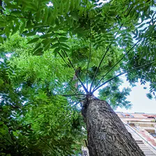 no description
https://www.flickr.com/photos/ztec/52145066605/
Albums: Paris