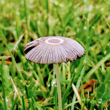 no description
https://www.flickr.com/photos/ztec/26956745619/