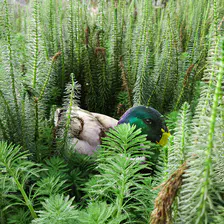 no description
https://www.flickr.com/photos/ztec/52505190808/