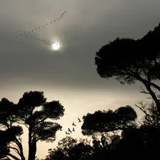 no description
https://www.flickr.com/photos/ztec/8433232207/
Albums: Nature