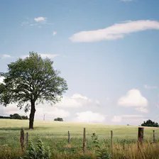 Nothing was done on this picture except shoot it !
https://www.flickr.com/photos/ztec/8442153367/
Albums: Nature