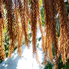 no description
https://www.flickr.com/photos/ztec/52504636676/