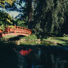 A red bridge over water in a green garden