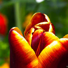 no description
https://www.flickr.com/photos/ztec/13965394576/