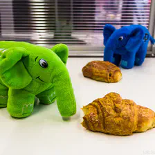 ElePHPants taking a break
https://www.flickr.com/photos/ztec/9184948291/
Albums: Php