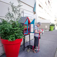 no description
https://www.flickr.com/photos/ztec/52144818894/
Albums: Paris