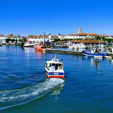 no description
https://www.flickr.com/photos/ztec/37175650472/