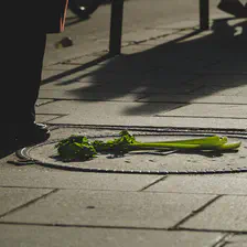 A branch of celery laying on the ground with someone standing next to it.