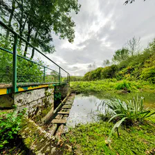 no description
https://www.flickr.com/photos/ztec/24859973898/