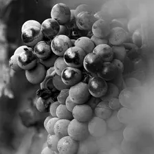 no description
https://www.flickr.com/photos/ztec/8434311982/
Albums: Nature