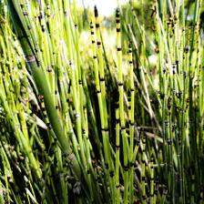 no description
https://www.flickr.com/photos/ztec/52504907754/