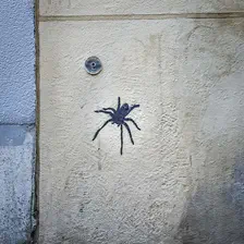 no description
https://www.flickr.com/photos/ztec/52145066890/
Albums: Paris