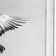 no description
https://www.flickr.com/photos/ztec/9692555175/