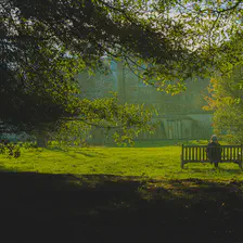 A person on a bench in a green scenery 
