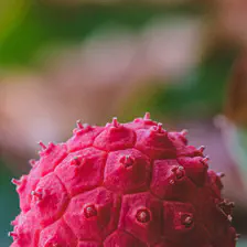 A big alien fruit. Red