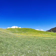 no description
https://www.flickr.com/photos/ztec/52232455659/