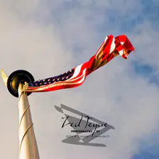 no description
https://www.flickr.com/photos/ztec/8434314148/
Albums: Things