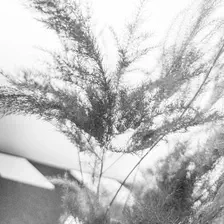 no description
https://www.flickr.com/photos/ztec/52166382096/