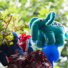 no description
https://www.flickr.com/photos/ztec/34703505360/
Albums: Php